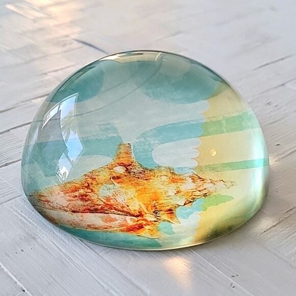 Seashell Ocean Paperweight Dome Glass Round No Chips or Cracks 4" - Picture 6 of 6